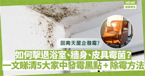 屋企發霉風水|【家居除霉】牆身發霉點算好？教你天然除霉方法！